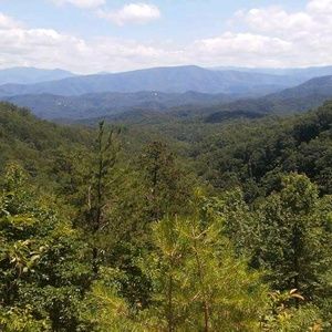 Meet your Posher, Harley